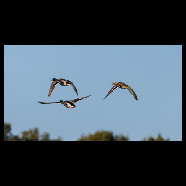 PHOTO84, CLUB, 84 , LUBERON